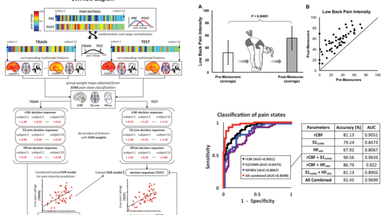 Lee et. al., Pain 2019 Machine learning model using resting state BOLD and arterial spin labeling, and HRV predicts clinical pain